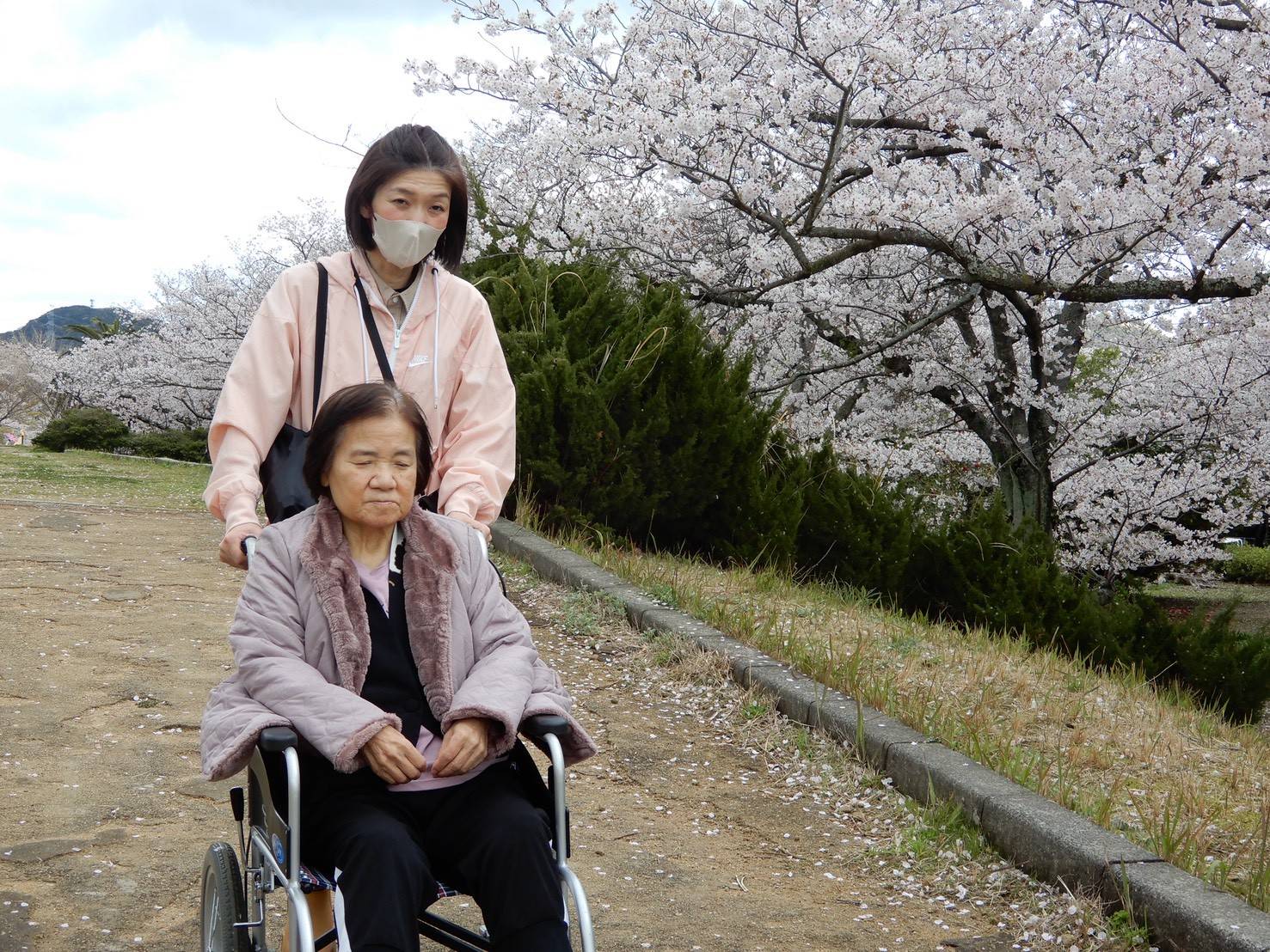 戦場ヶ原への花見（KaKa＋こんぴらデイサービス）